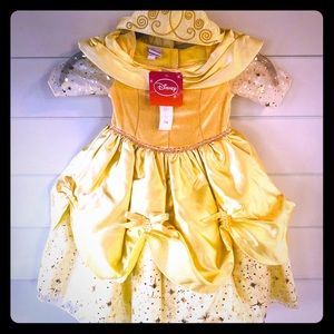 Disney Belle costume